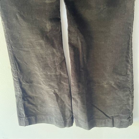 Anthropologie Pilcro and the Letterpress superscript corduroy pants 37588 - Picture 9 of 13